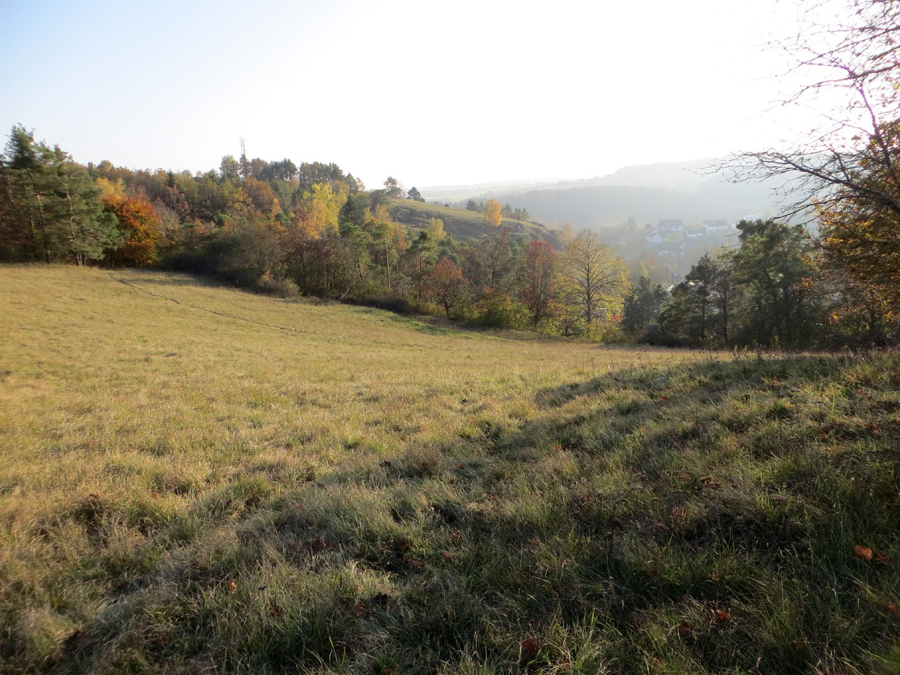 Nittendorf Bund Naturschutz In Bayern E V