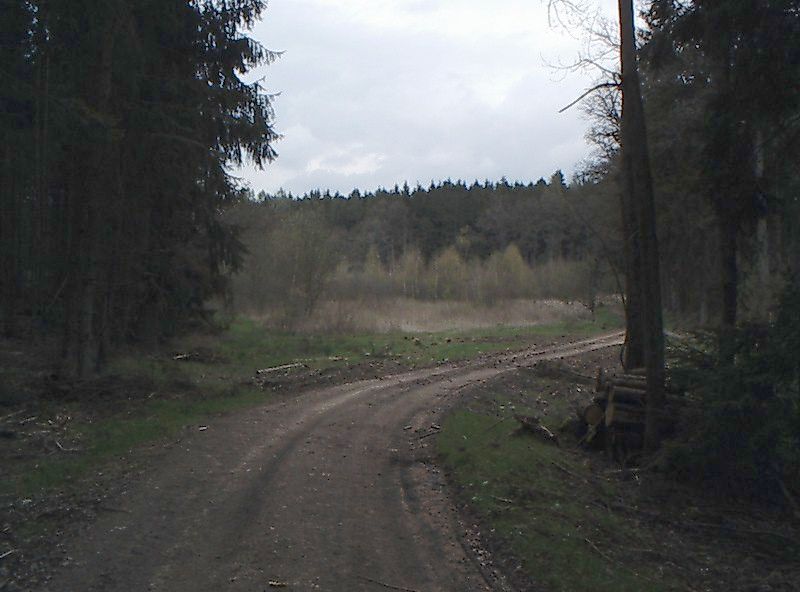 Aschacher Graben Biotop 2007