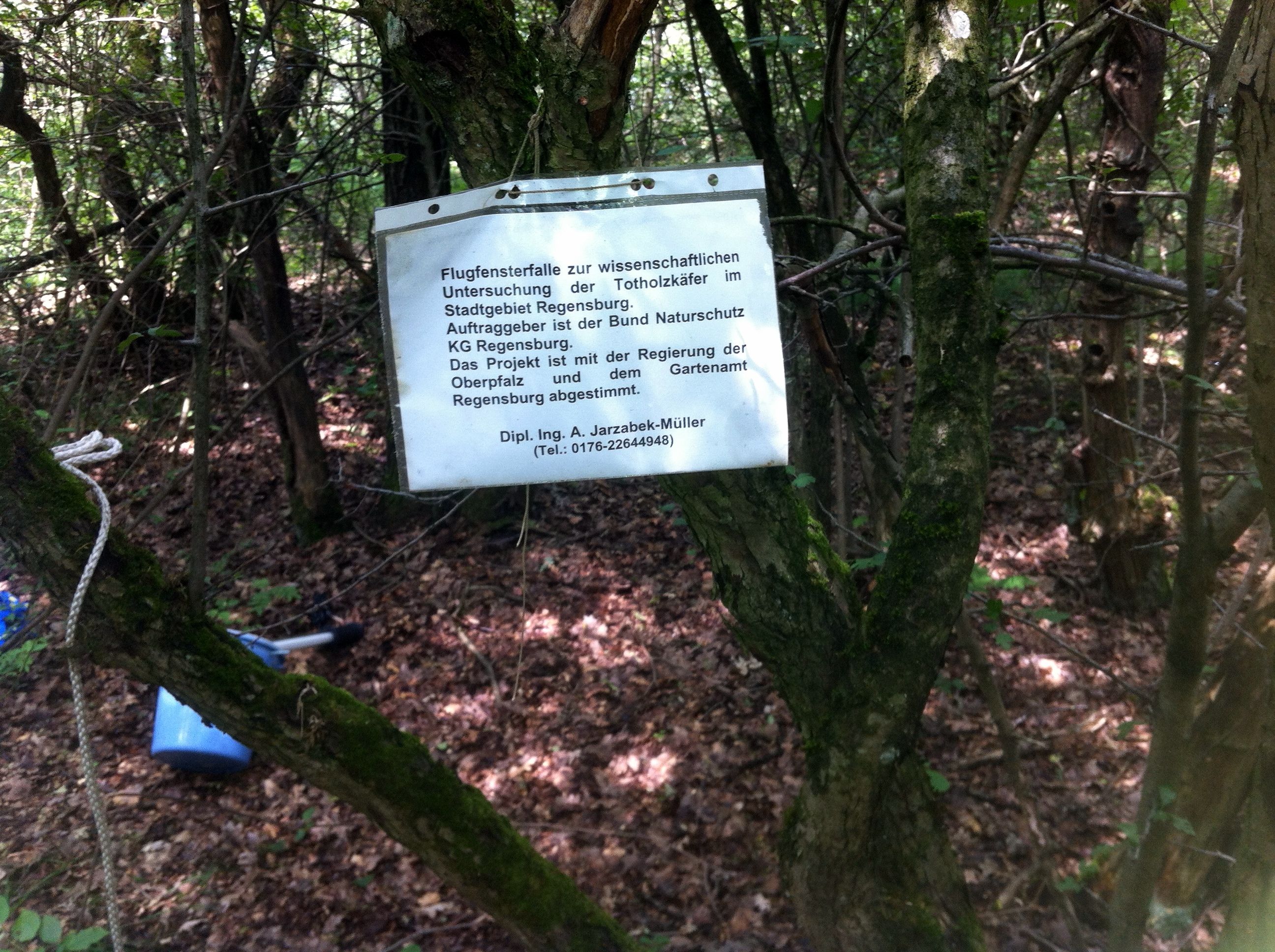 Hinweis auf die Aktion (Schutz) Hinweis auf die Aktion (Schutz)