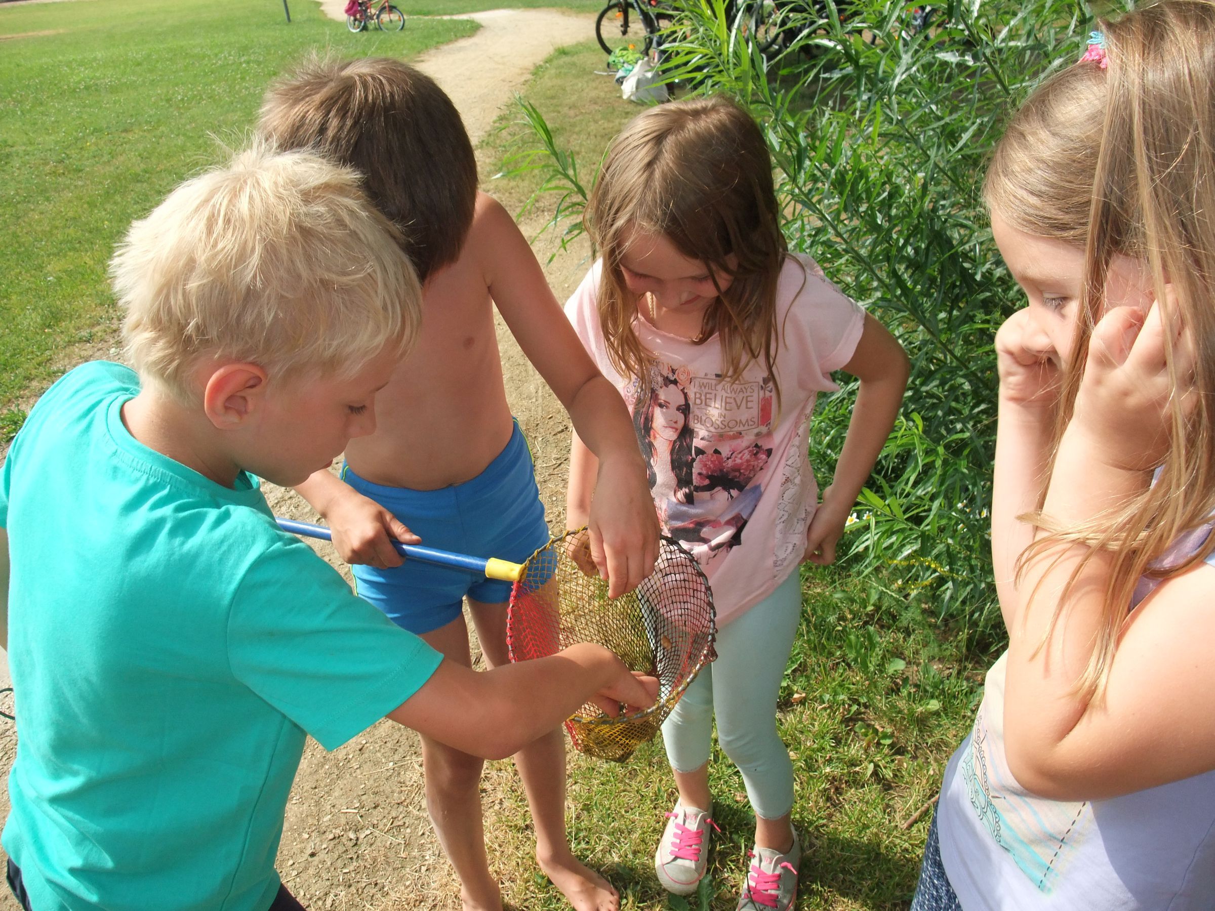 Foto: OG Alteglofsheim