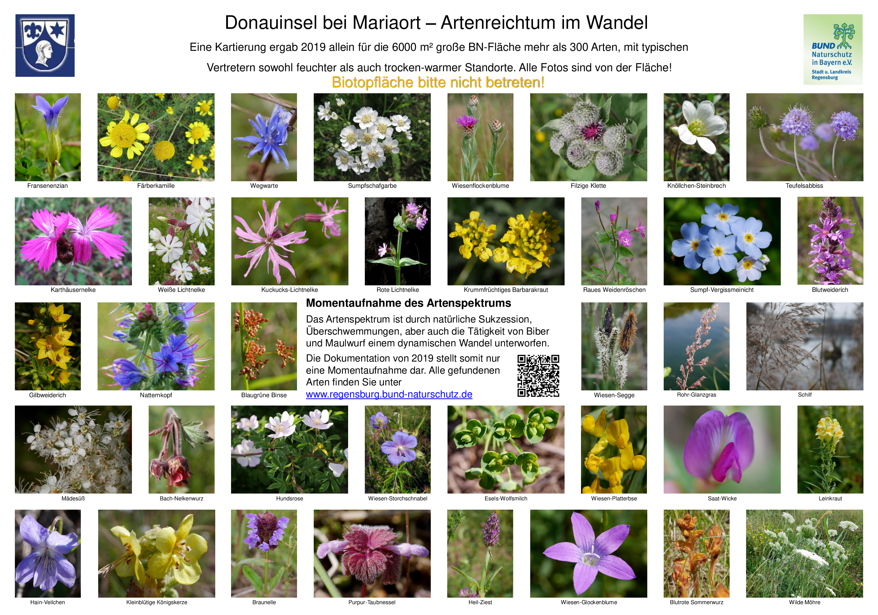 Fotos: BN KG Regensburg