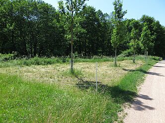 Foto: OG Nittendorf