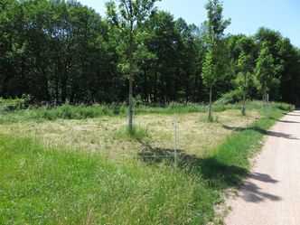 Foto: OG Nittendorf