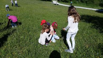 Foto: Von der Thann GS
