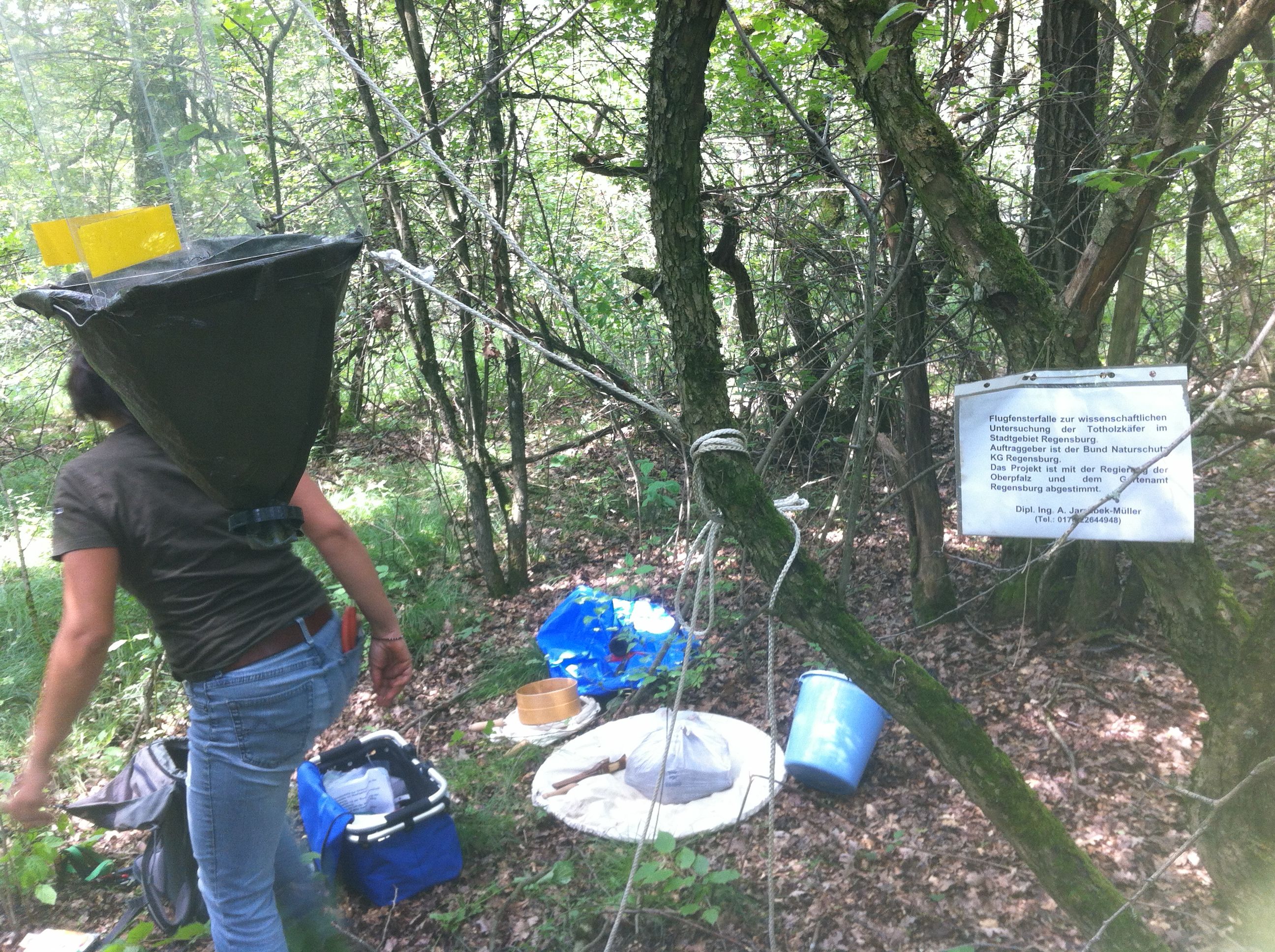 Biologin in Aktion Biologin in Aktion