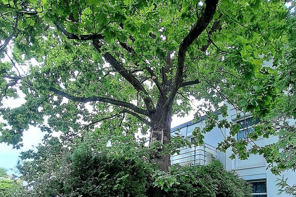 Foto: Astrid Schnell - BN KG Regensburg