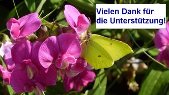 Foto: Finkbeiner
