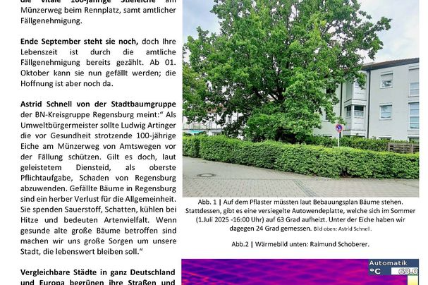 Copyright: BN KG Regensburg