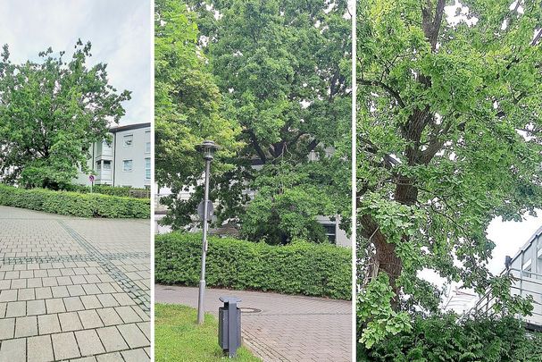 Foto: Astrid Schnell - BN KG Regensburg