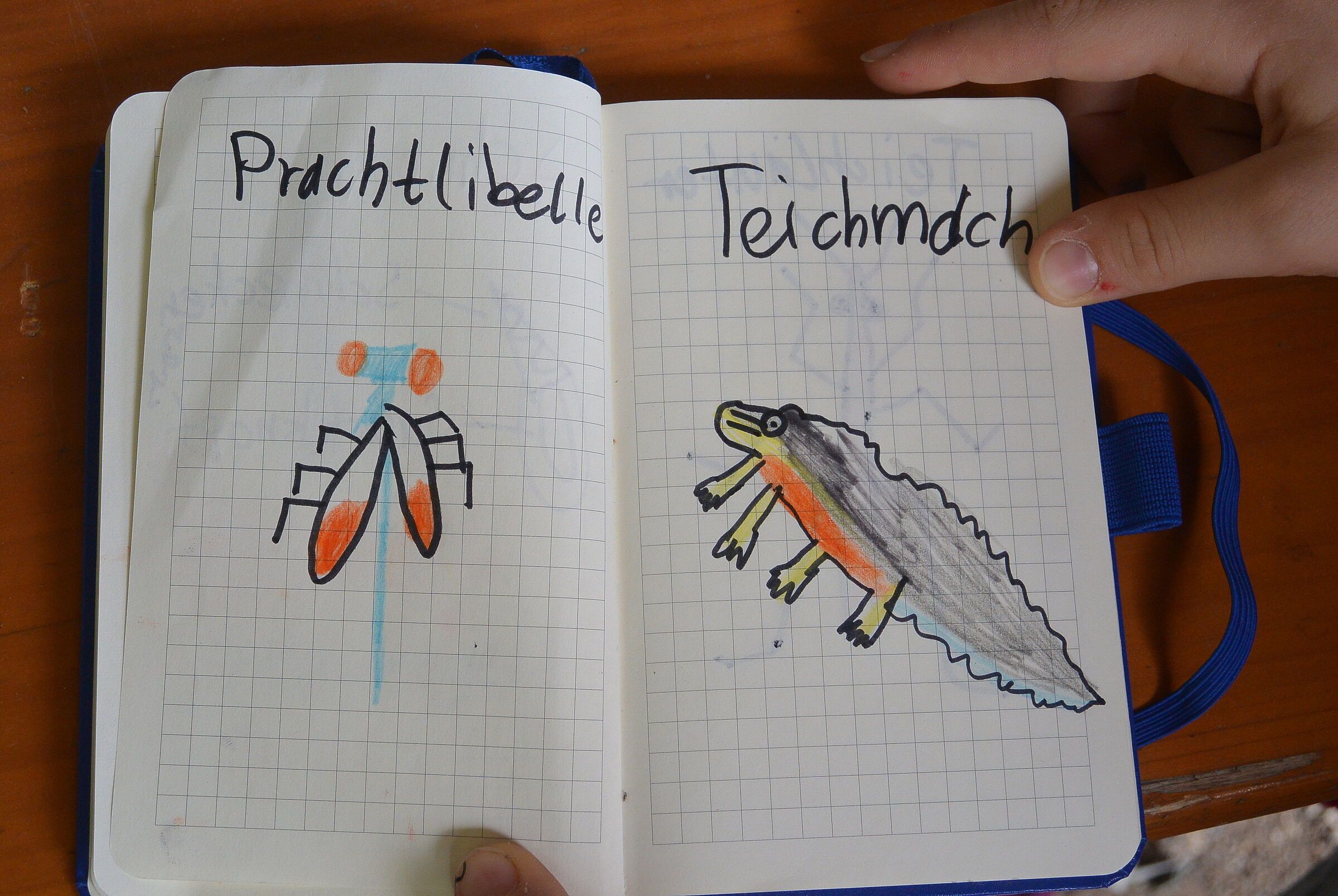 Foto: JBN Kindergruppe Regensburg