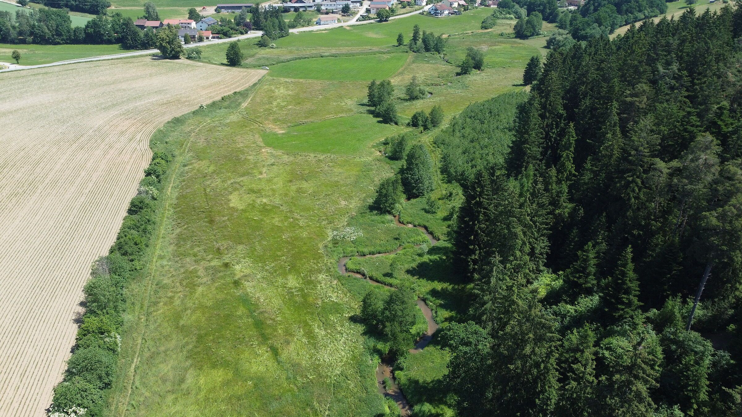 Foto: BN KG Regensburg - Raimund Schober