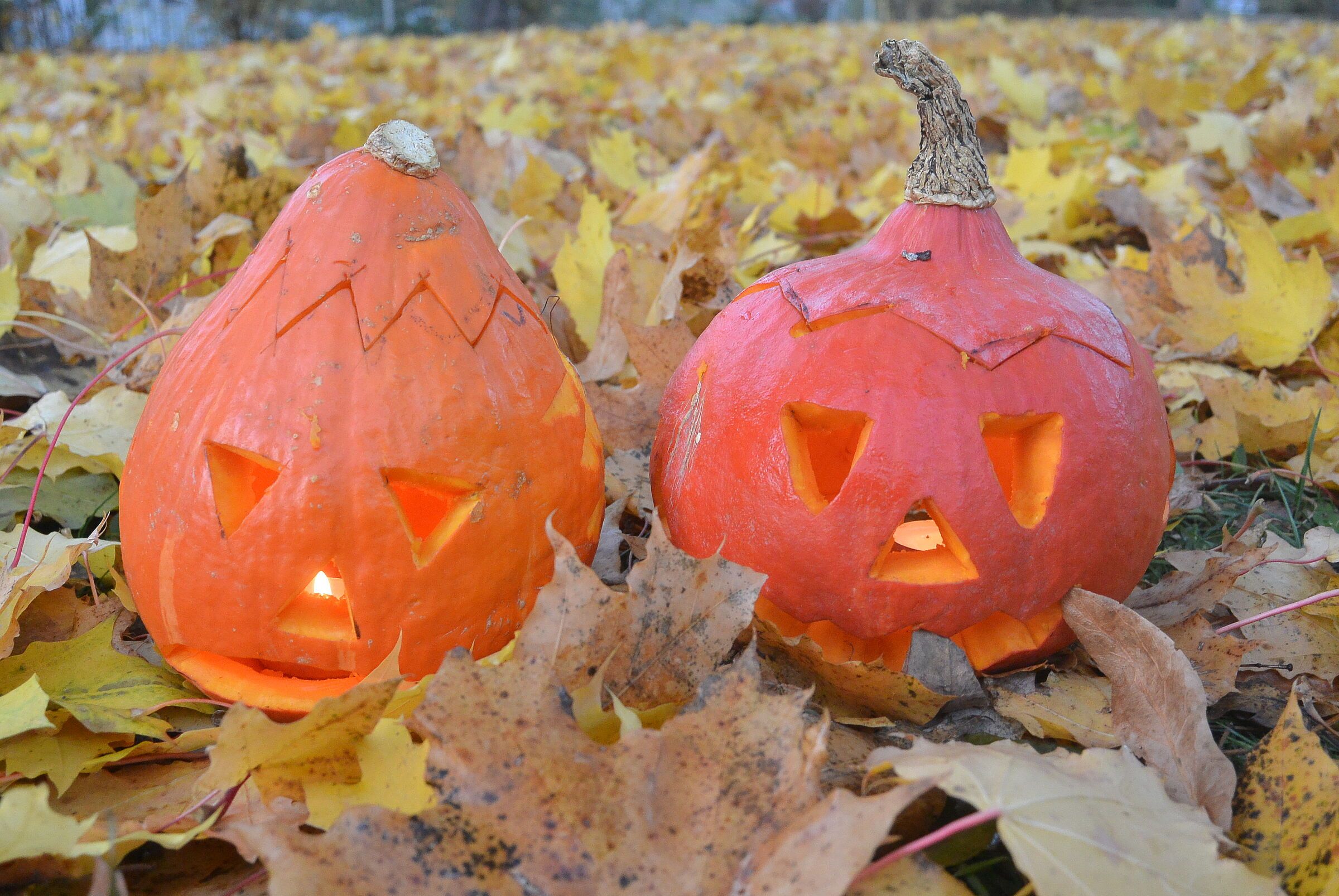 Foto: JBN Regensburg