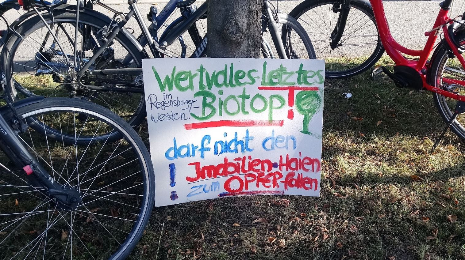 Foto: R. Schoberer - BN KG Regensburg