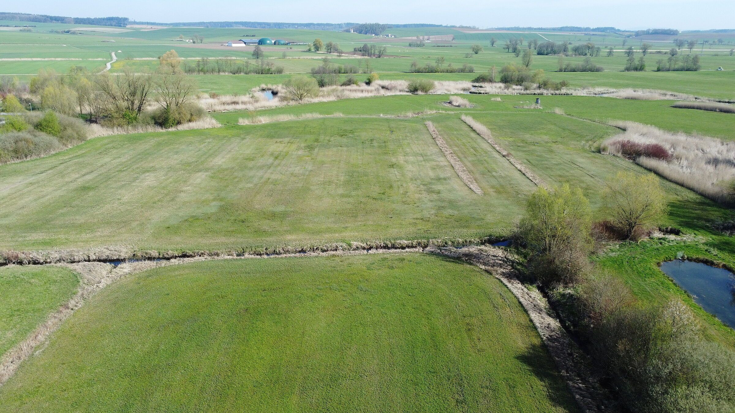 Foto: BN OG Schierling