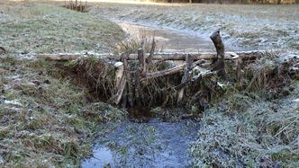 Foto: H.L. Althaus