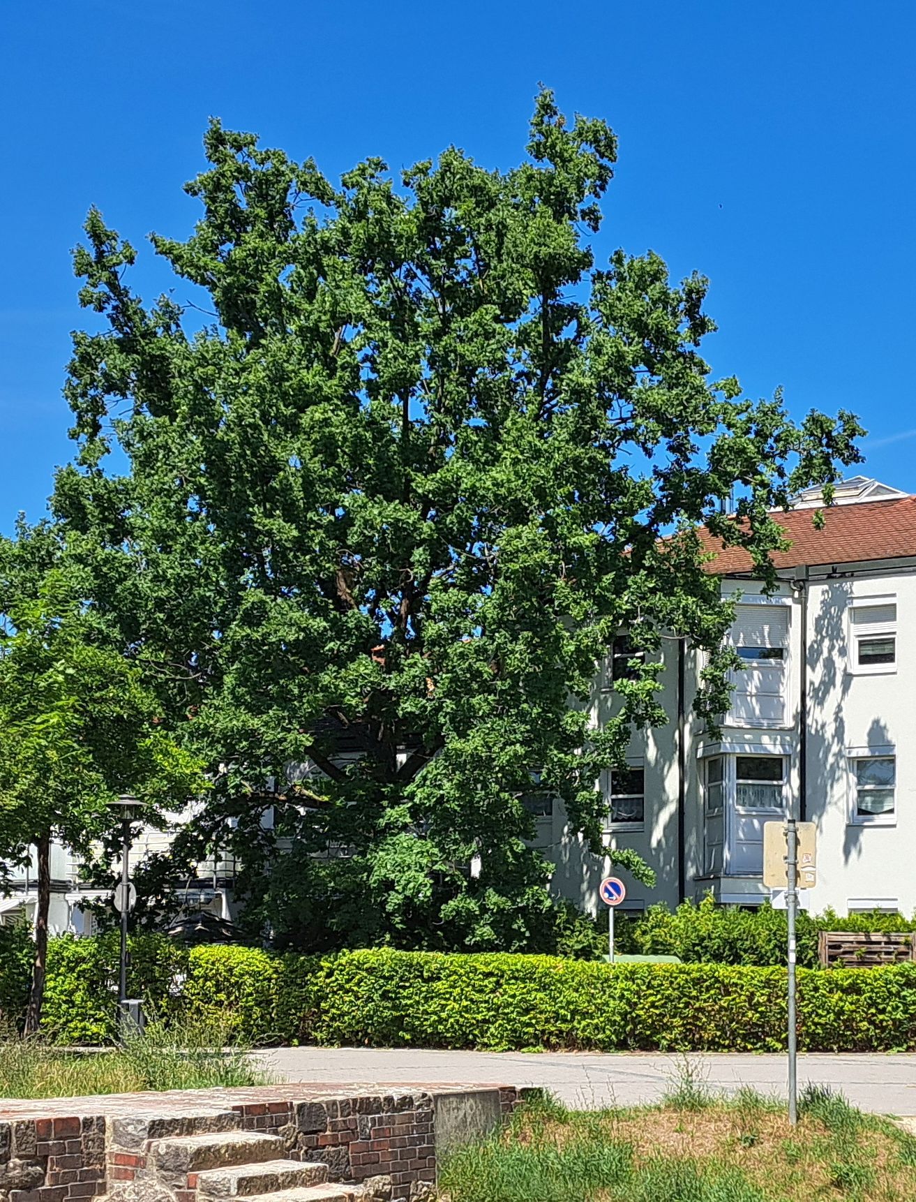 Foto: Raimund Schoberer - BN KG Regensburg