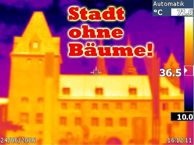 Foto: Raimund Schoberer - BN KG Regensburg