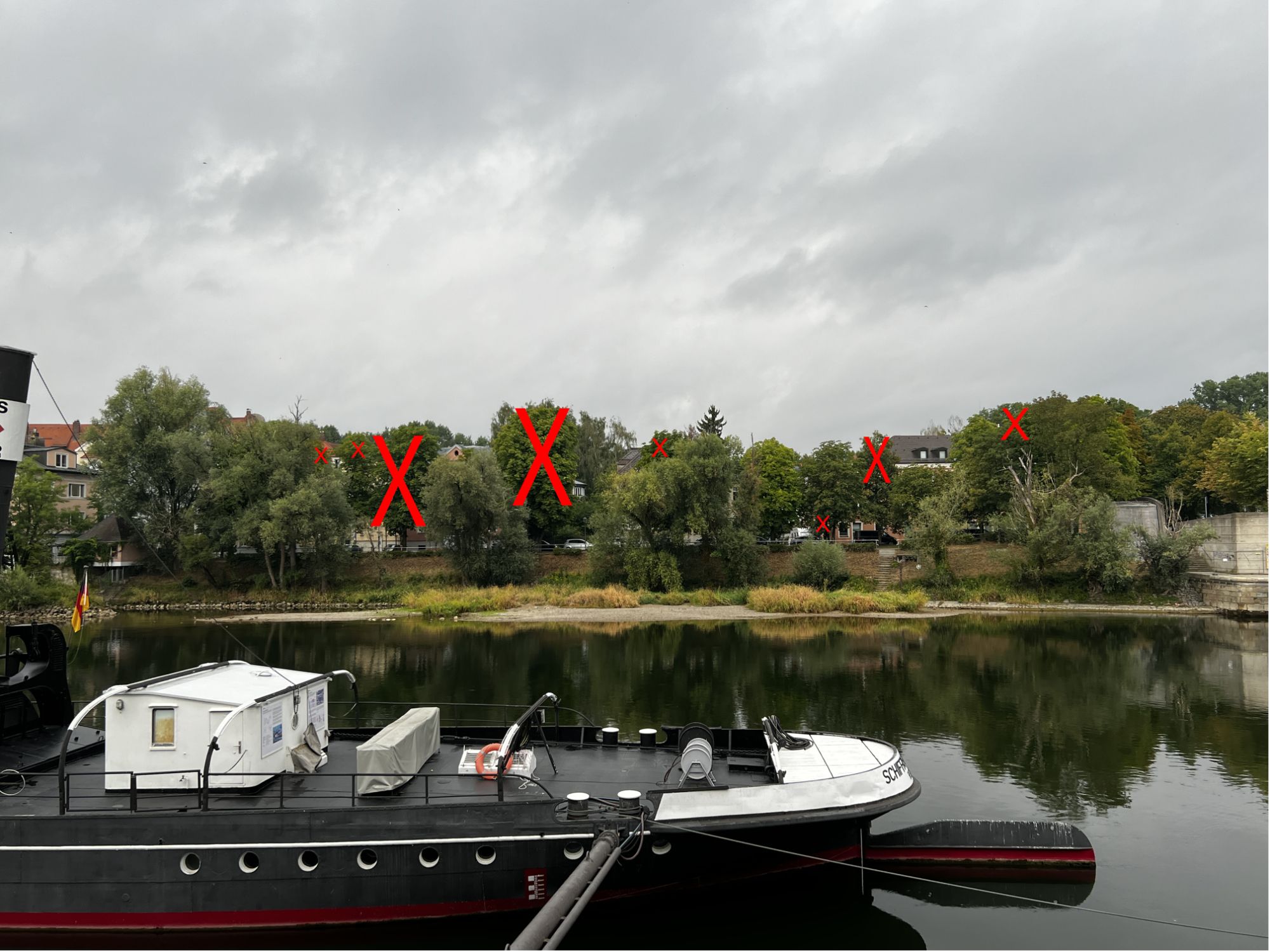 Foto: Aktionsbündnis Erhalt der Donauinseln e. V.