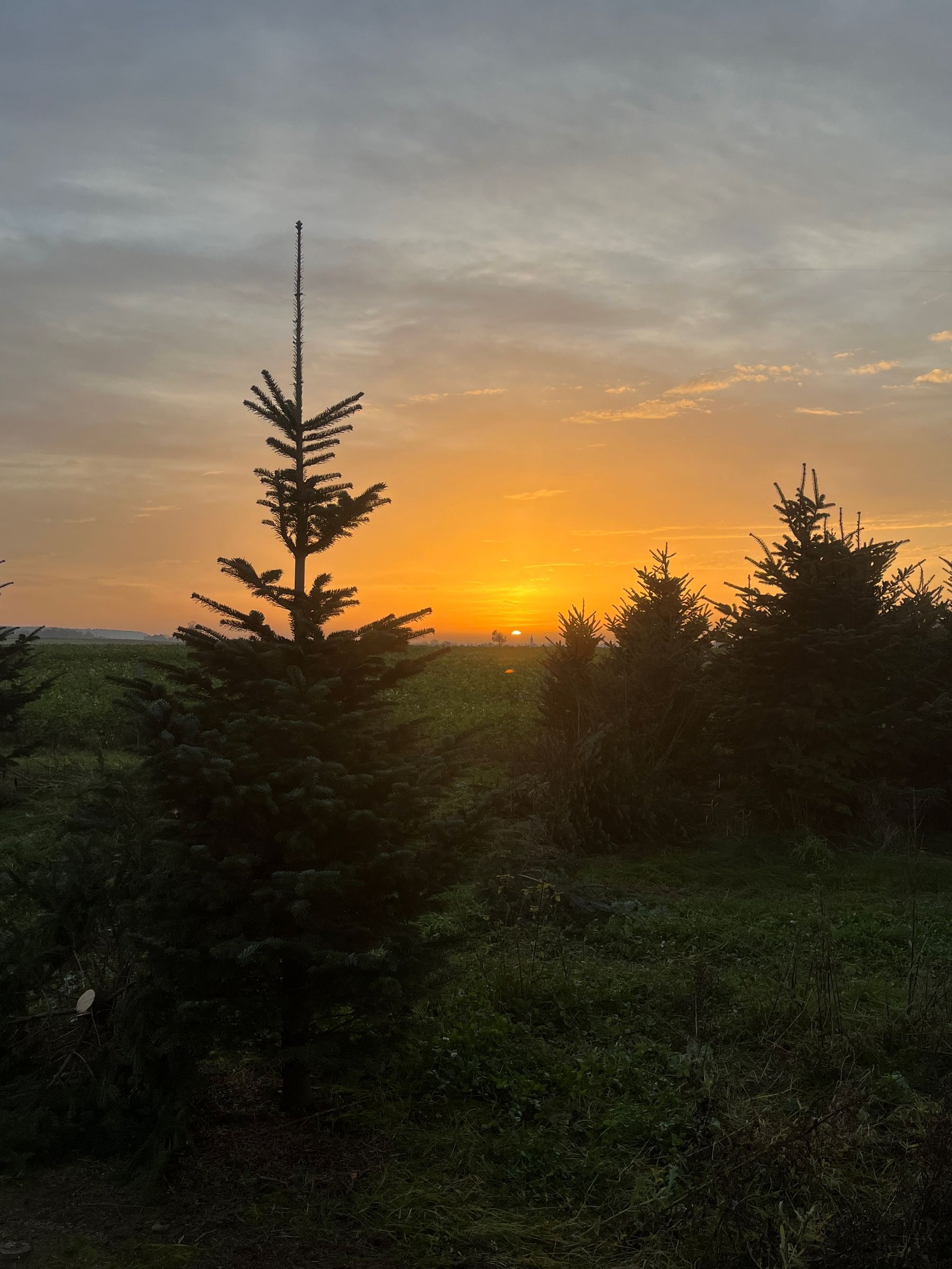 Foto: Familie Häckl