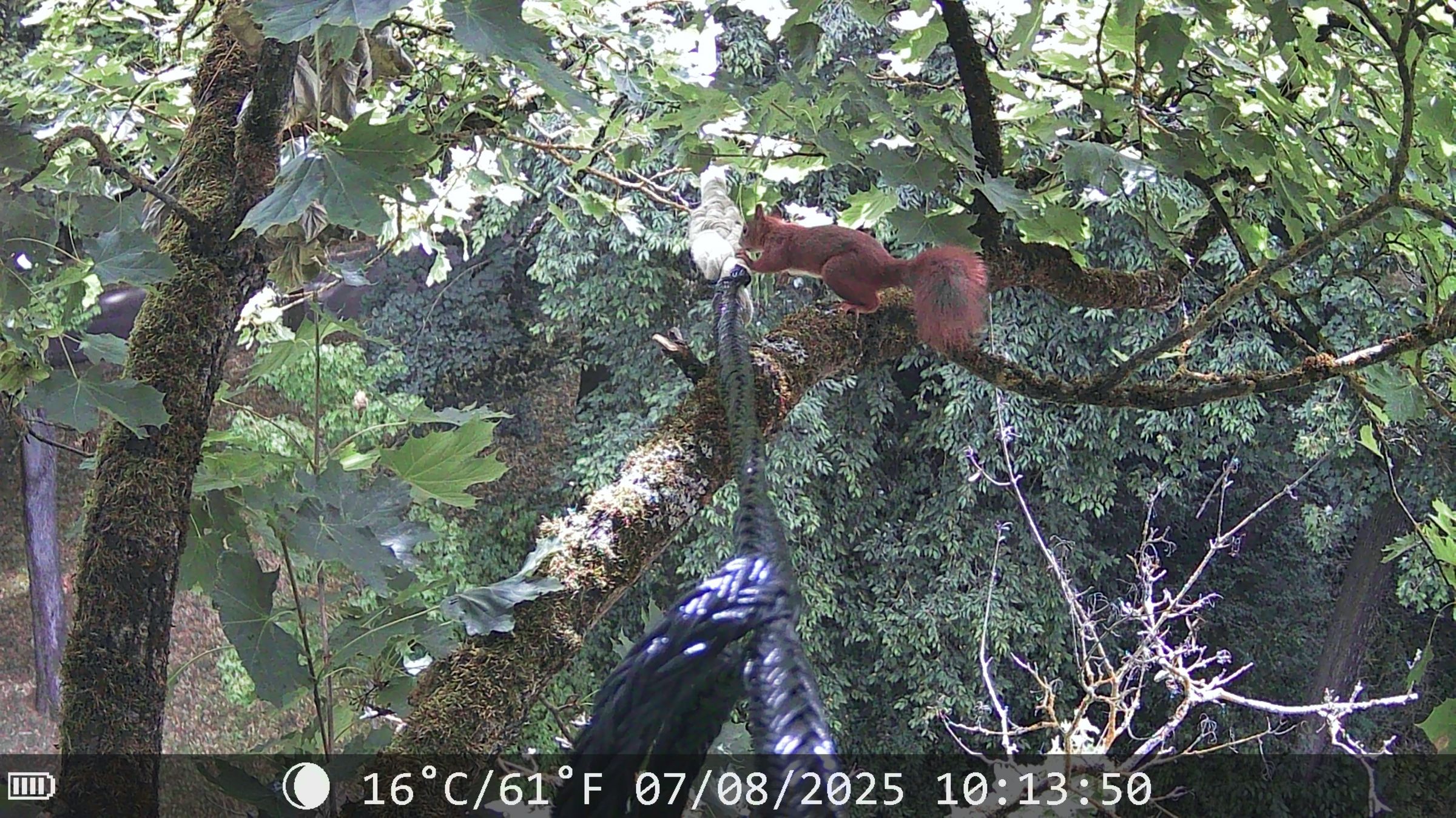 Foto: BUND Naturschutz in Bayern e.V.