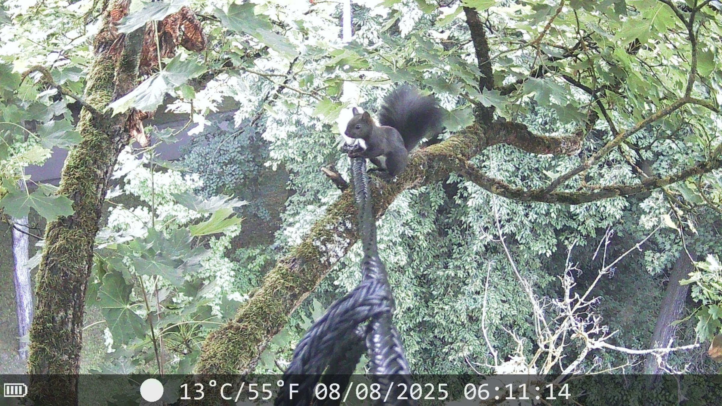 Foto: BUND Naturschutz in Bayern e.V.