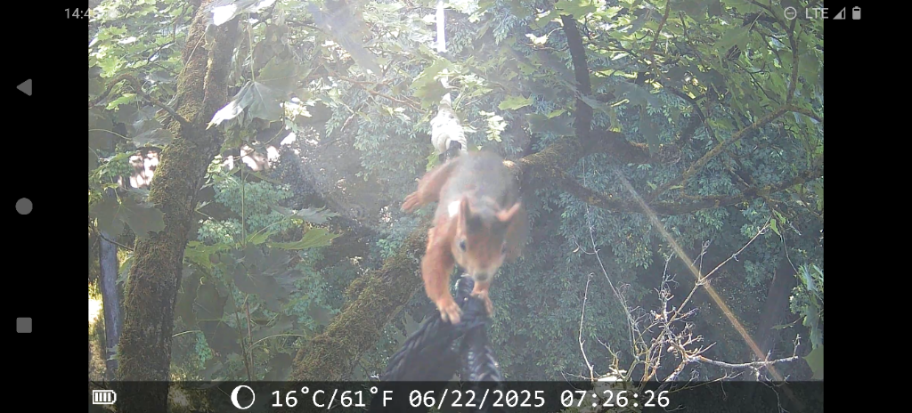 Foto: BUND Naturschutz in Bayern e.V.