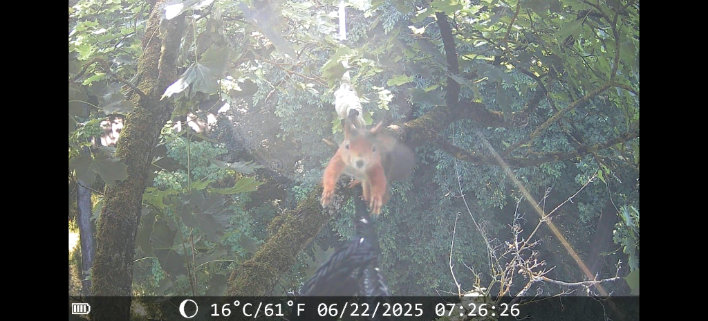 Foto: BUND Naturschutz in Bayern e.V.