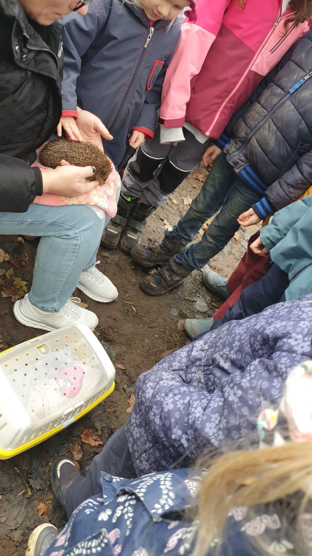Fotos: BUNDJugend Bayern Kindergruppe Regensburg