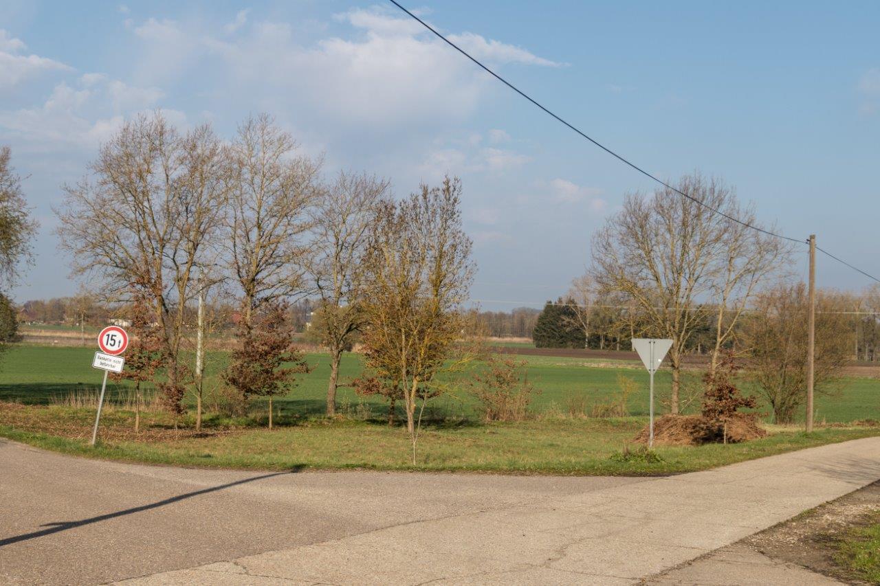 ckblick 2017 Foto: OG Sünching